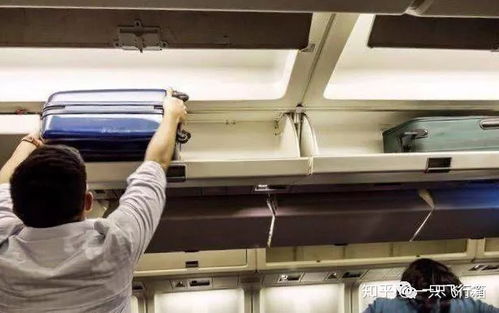 飛機(jī)上的十二個隱藏菜單你都知道啊 轉(zhuǎn)給ta看看吧